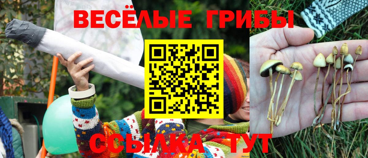 Ефремов  Псилоцибиновые грибы прущие грибы  Вход с VPN 